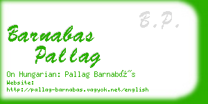 barnabas pallag business card